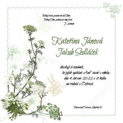 typova svatebni-oznameni-ctv-29