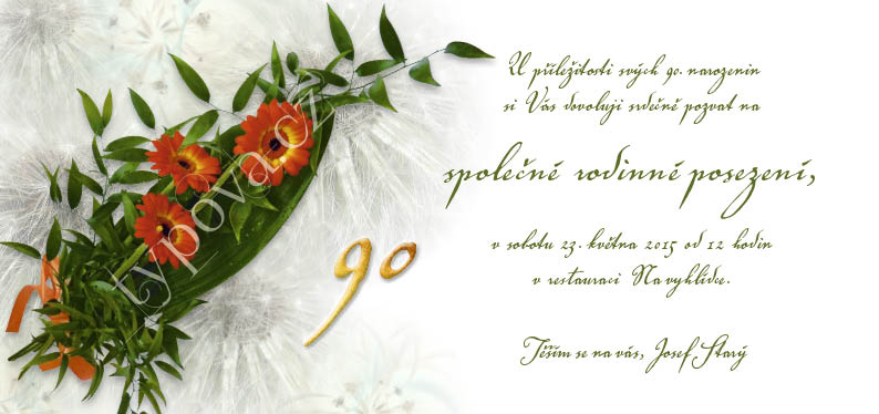 typova-narozeninove-pozvanky