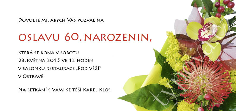 typova-narozeninove-pozvanky